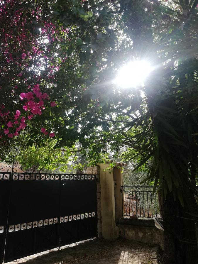 Olea Home Agia Pelagia Chlomou 外观 照片