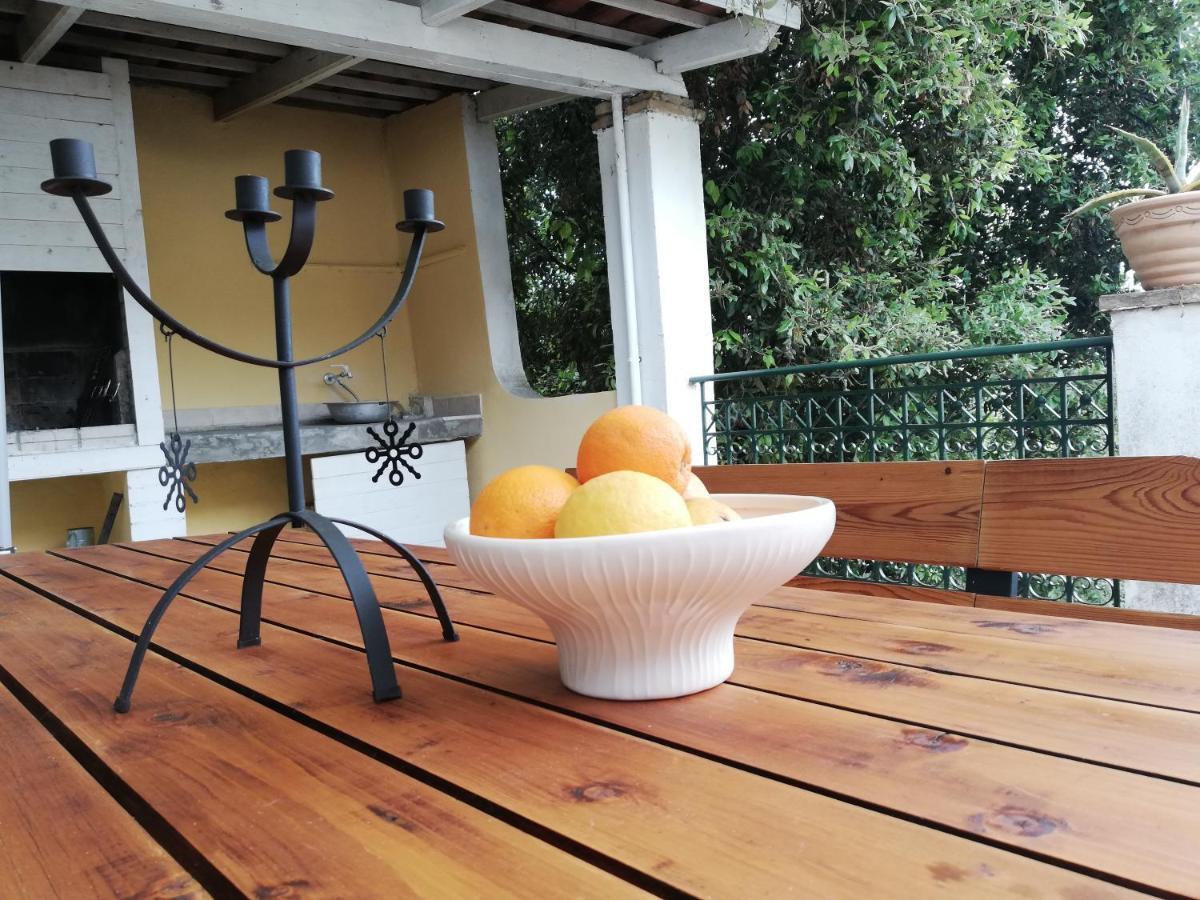 Olea Home Agia Pelagia Chlomou 外观 照片